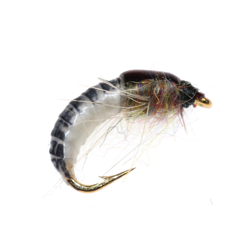 Catch More Fish with Bionic Ant Bait