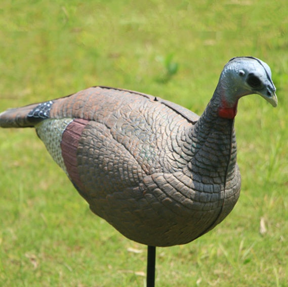 Turkey Decoy