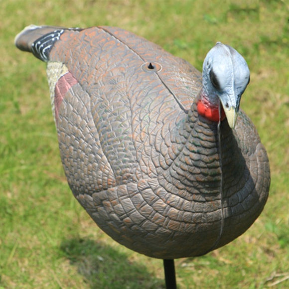 Turkey Decoy