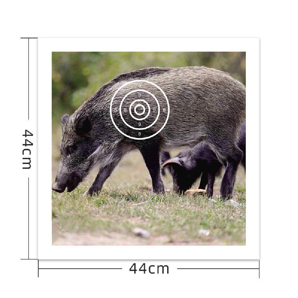 Full Ring Archery Dart Target Paper